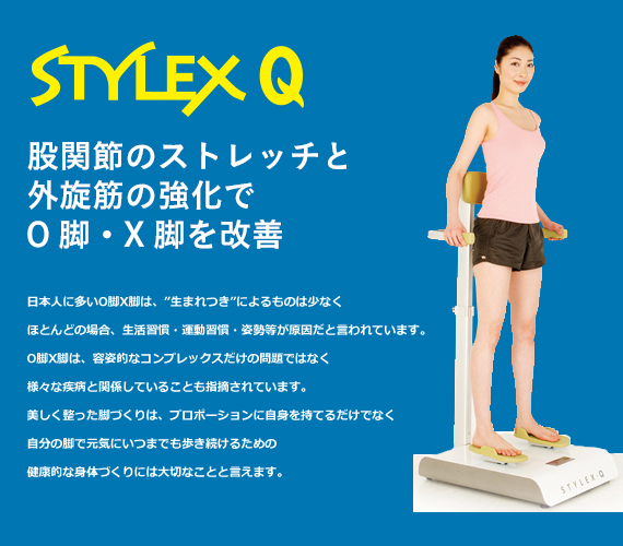STYLEX Q（スタイレックスQ）